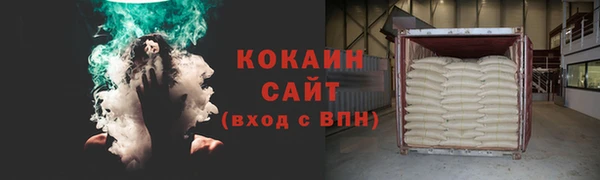 стаф Аркадак