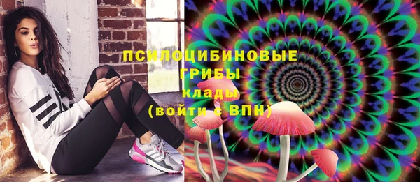 стаф Аркадак