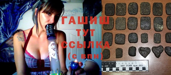 стаф Аркадак