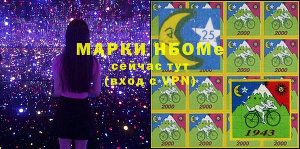 стаф Аркадак