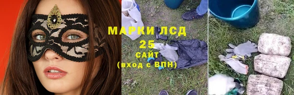 стаф Аркадак