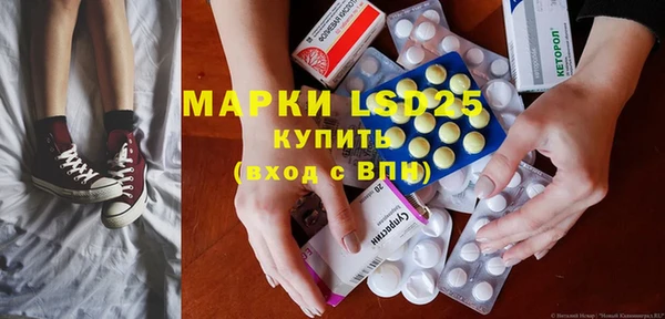 стаф Аркадак