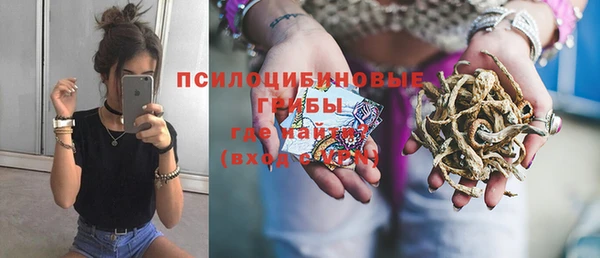 стаф Аркадак