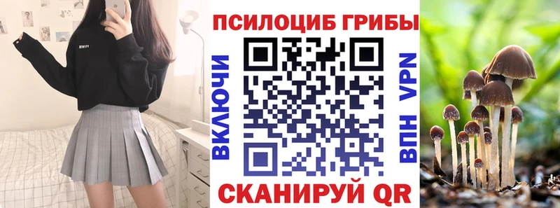 купить закладку  Пустошка  Галлюциногенные грибы Psilocybine cubensis 